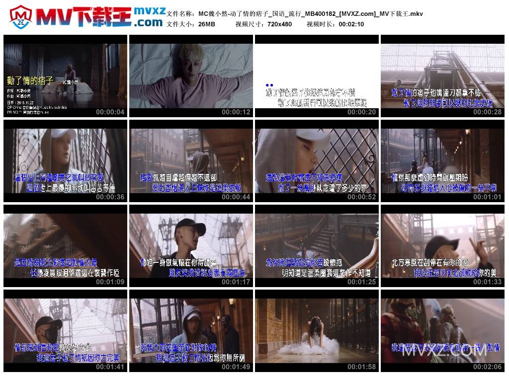 MC魏小然-动了情的痞子_国语_流行_MB400182